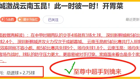 激情战场上的青春对决：拉那那夏普尔罗伊U19主场挑战法萨披萨美食盛宴！